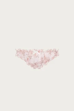 GARDENIA BRIEF
