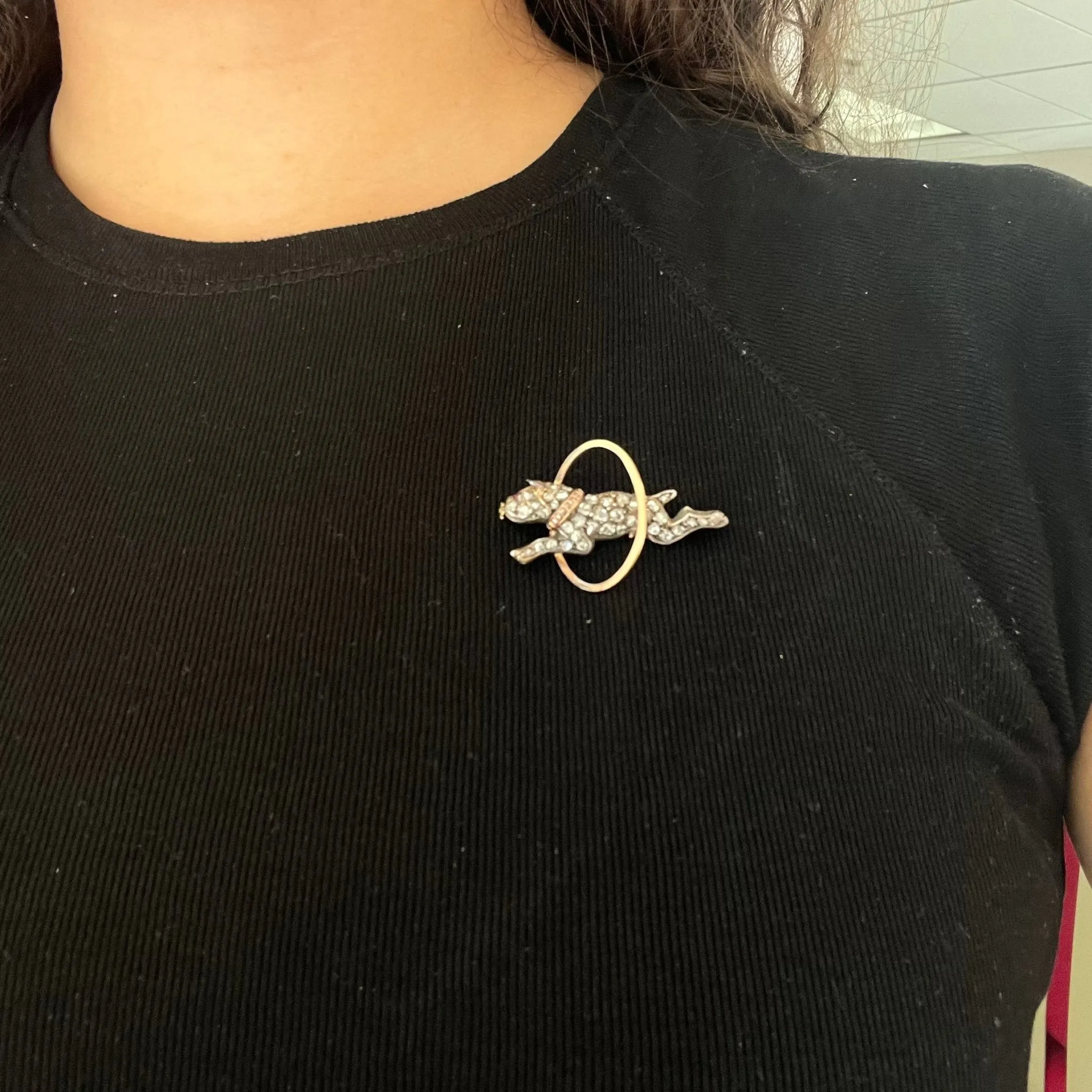 Georgian Rose Cut Diamond Bulldog Brooch French
