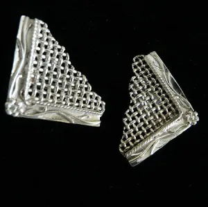 Mesh Frame Fragment Earrings