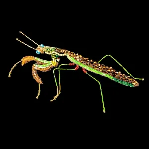 Praying Mantis Brooch Pin